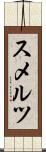 スメルツ Scroll
