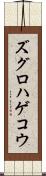 ズグロハゲコウ Scroll