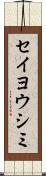 セイヨウシミ Scroll