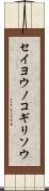 セイヨウノコギリソウ Scroll