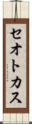 セオトカス Scroll