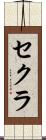 セクラ Scroll