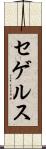 セゲルス Scroll