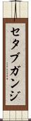 セタブガンジ Scroll