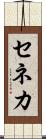 セネカ Scroll