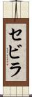 セビラ Scroll