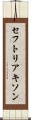 セフトリアキソン Scroll