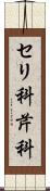 セリ科 Scroll