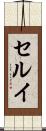 セルイ Scroll