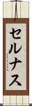 セルナス Scroll