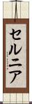 セルニア Scroll