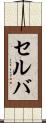 セルバ Scroll