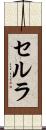 セルラ Scroll