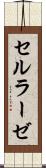 セルラーゼ Scroll