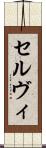 Selvi Scroll