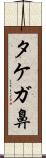 タケガ鼻 Scroll