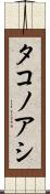 タコノアシ Scroll