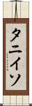 タニイソ Scroll