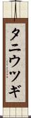 タニウツギ Scroll