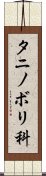 タニノボリ科 Scroll