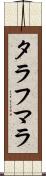 タラフマラ Scroll