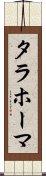 タラホーマ Scroll