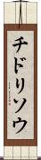チドリソウ Scroll
