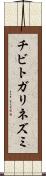 チビトガリネズミ Scroll