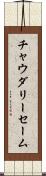 Choudary Saim Scroll