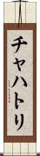 チャハトリ Scroll
