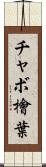 チャボ檜葉 Scroll