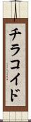 チラコイド Scroll