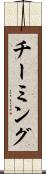 チーミング Scroll