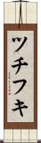 ツチフキ Scroll