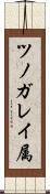ツノガレイ属 Scroll