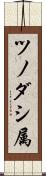 ツノダシ属 Scroll