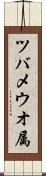 ツバメウオ属 Scroll