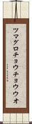 ツマグロチョウチョウウオ Scroll