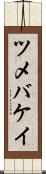 ツメバケイ Scroll