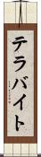 テラバイト Scroll