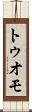 トゥオモ Scroll