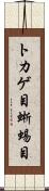 トカゲ目 Scroll