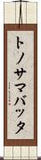 トノサマバッタ Scroll