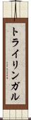 トライリンガル Scroll