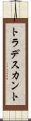 トラデスカント Scroll