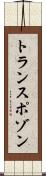 トランスポゾン Scroll
