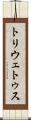 トリウェトゥス Scroll