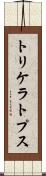 トリケラトプス Scroll
