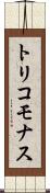 トリコモナス Scroll
