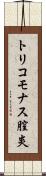 トリコモナス膣炎 Scroll
